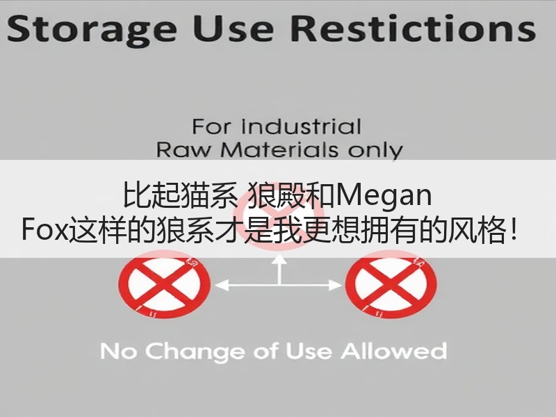 比起猫系 狼殿和Megan Fox这样的狼系才是我更想拥有的风格！