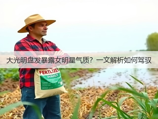 大光明盘发暴露女明星气质?一文解析如何驾驭(图1) 大光明盘发暴露女明星气质?一文解析如何驾驭(图1)