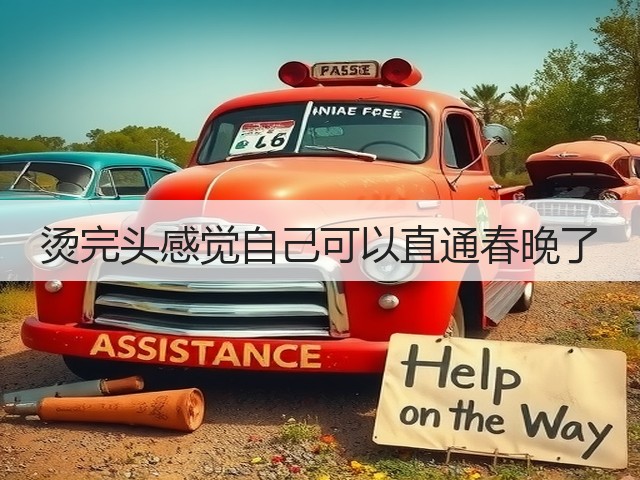 烫完头感觉自己可以直通春晚了(图3)
