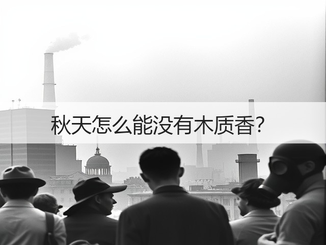 秋天怎么能没有木质香？(图1)