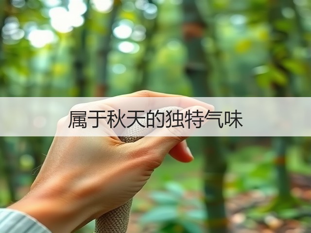 属于秋天的独特气味(图2)
