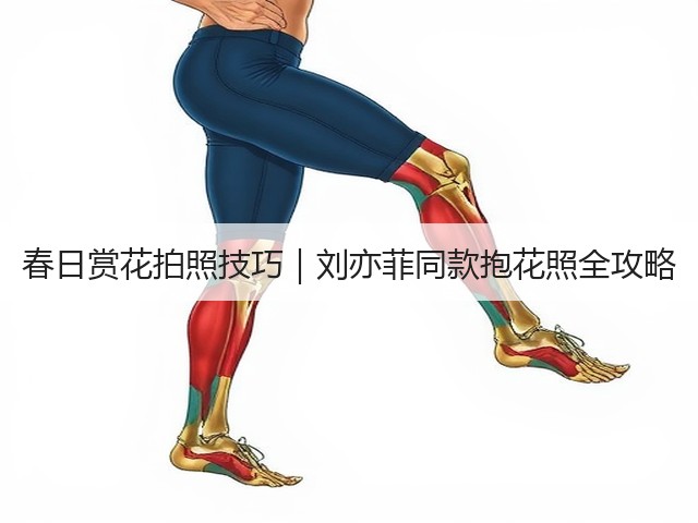 春日赏花拍照技巧｜刘亦菲同款抱花照全攻略(图2)