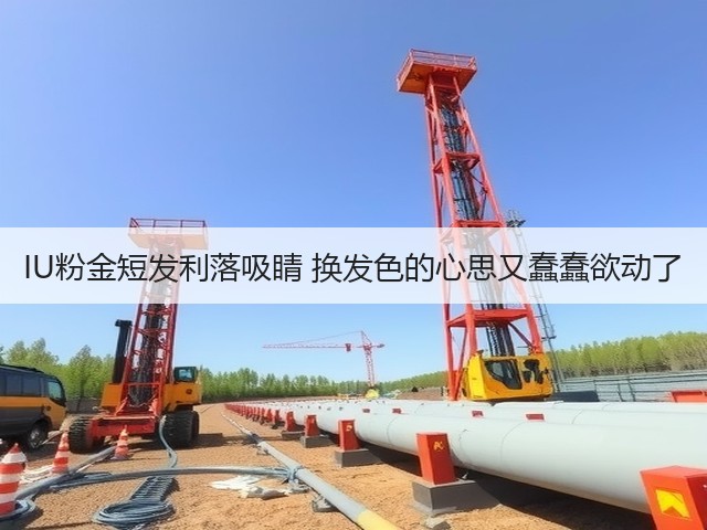 IU粉金短发利落吸睛 换发色的心思又蠢蠢欲动了(图1) IU粉金短发利落吸睛 换发色的心思又蠢蠢欲动了(图1)