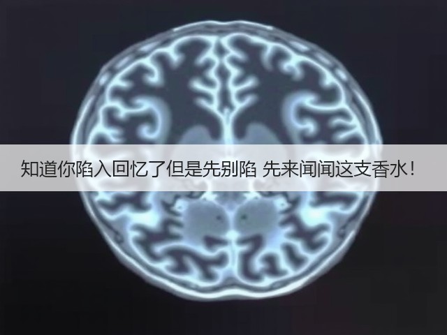 知道你陷入回忆了但是先别陷 先来闻闻这支香水！(图1)