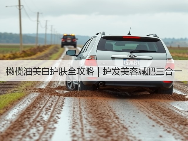 橄榄油美白护肤全攻略|护发美容减肥三合一(图1) 橄榄油美白护肤全攻略|护发美容减肥三合一(图1)