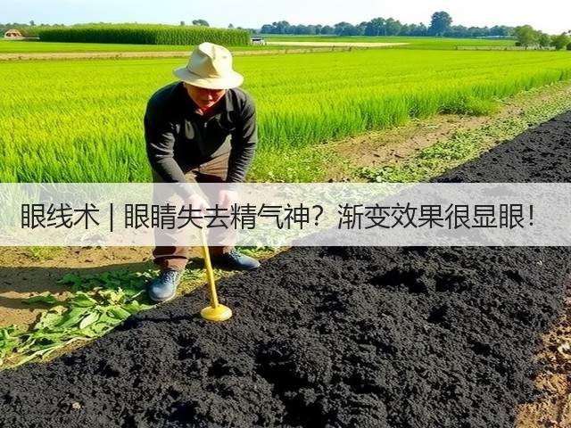 眼线术 | 眼睛失去精气神？渐变效果很显眼！(图2)