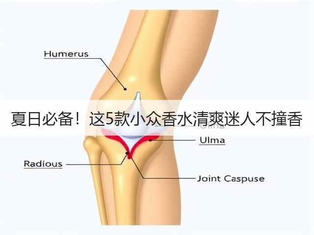 夏日必备!这5款小众香水清爽迷人不撞香(图2) 夏日必备!这5款小众香水清爽迷人不撞香(图2)