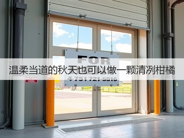 温柔当道的秋天也可以做一颗清冽柑橘(图2) 温柔当道的秋天也可以做一颗清冽柑橘(图2)