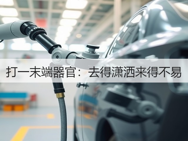 打一末端器官：去得潇洒来得不易(图3)