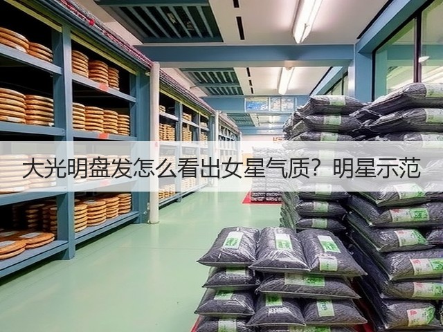 大光明盘发怎么看出女星气质?明星示范(图3) 大光明盘发怎么看出女星气质?明星示范(图3)