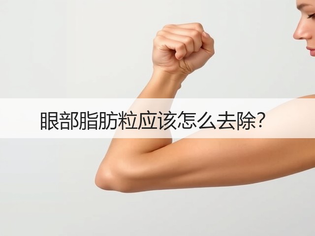 眼部脂肪粒应该怎么去除?(图3) 眼部脂肪粒应该怎么去除?(图3)