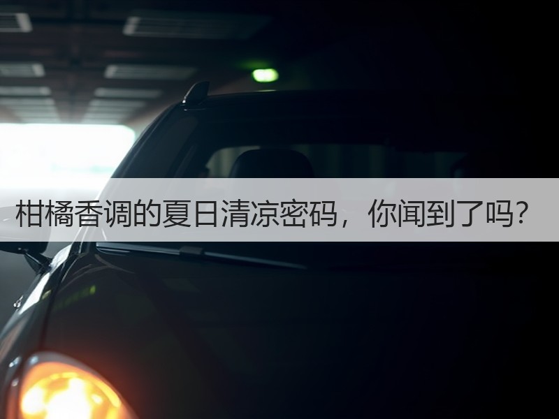 柑橘香调的夏日清凉密码，你闻到了吗？