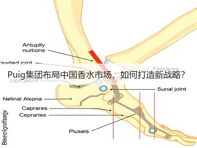 Puig集团布局中国香水市场，如何打造新战略？(图1)