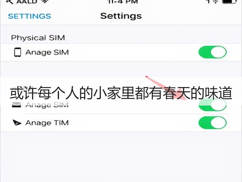 或许每个人的小家里都有春天的味道
