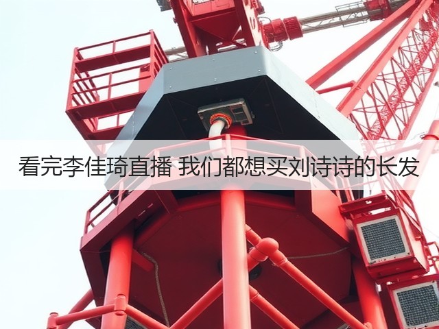 看完李佳琦直播 我们都想买刘诗诗的长发(图3)