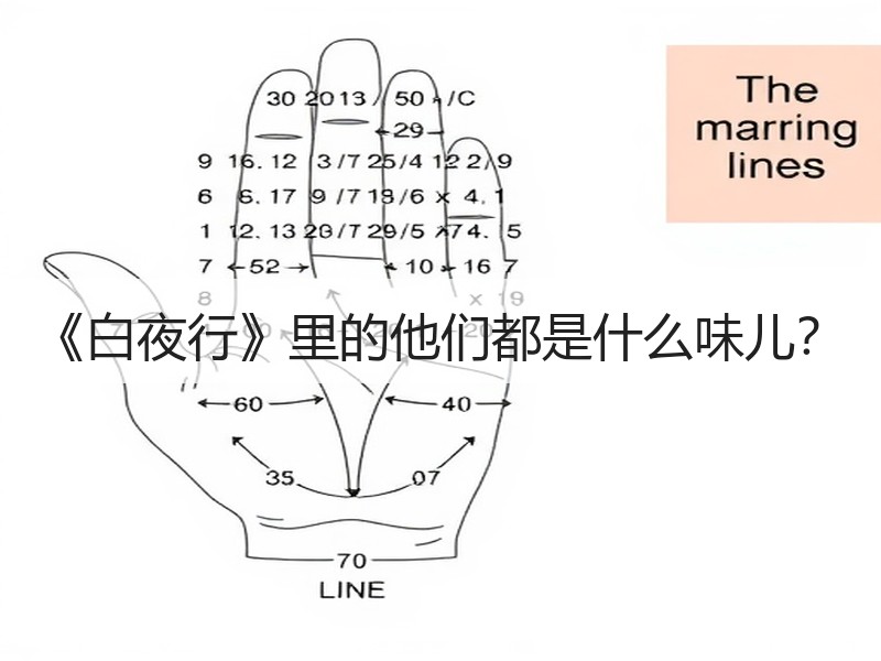 《白夜行》里的他们都是什么味儿？