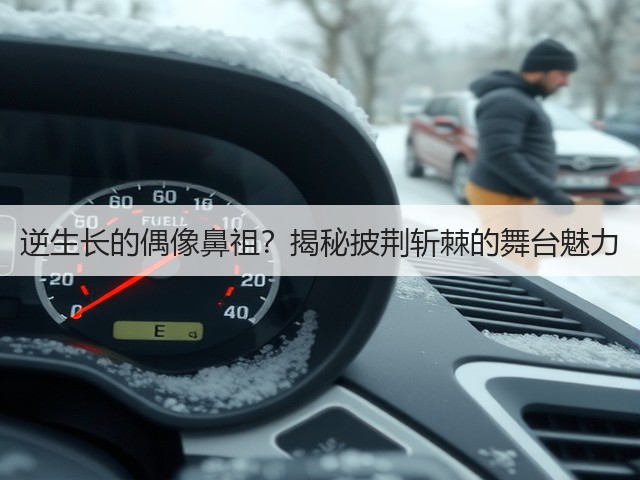 逆生长的偶像鼻祖？揭秘披荆斩棘的舞台魅力(图3)