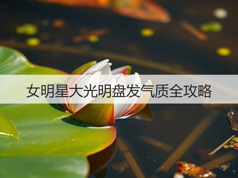 女明星大光明盘发气质全攻略