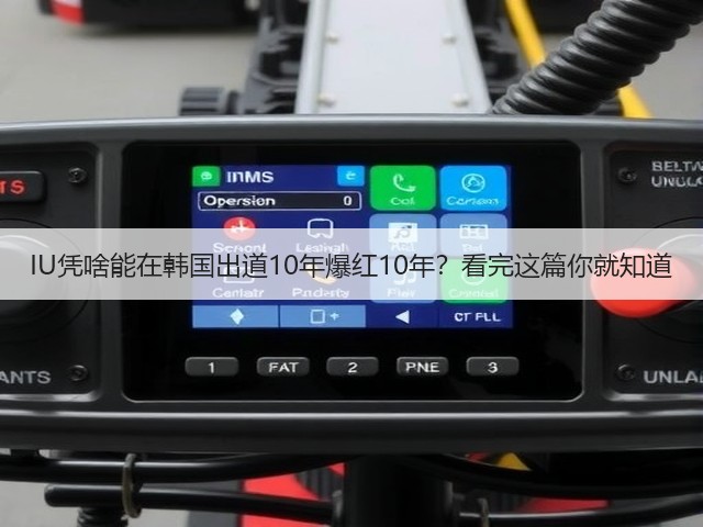 IU凭啥能在韩国出道10年爆红10年？看完这篇你就知道(图3)