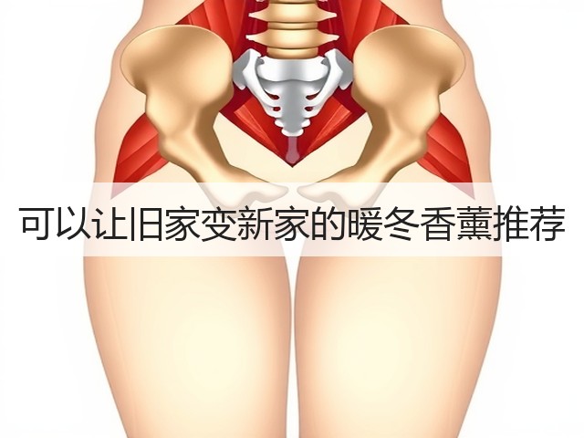 可以让旧家变新家的暖冬香薰推荐(图1) 可以让旧家变新家的暖冬香薰推荐(图1)