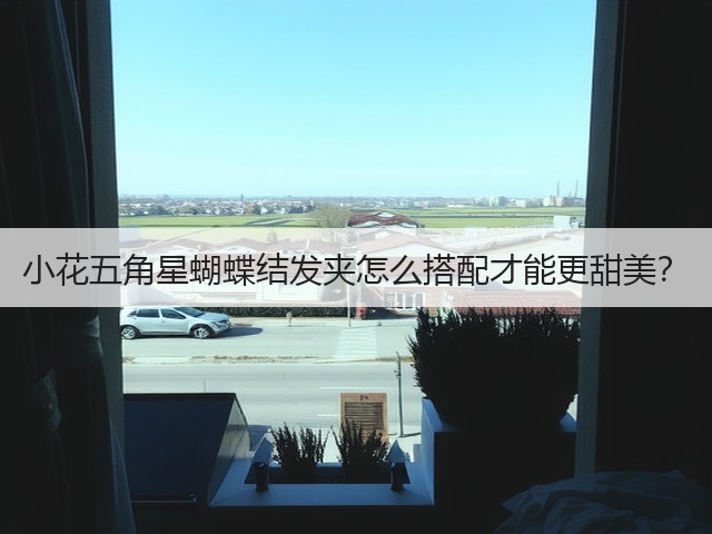 小花五角星蝴蝶结发夹怎么搭配才能更甜美?(图2) 小花五角星蝴蝶结发夹怎么搭配才能更甜美?(图2)