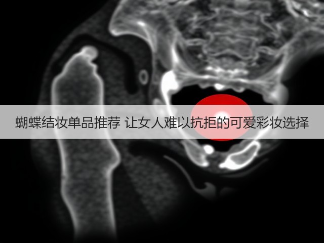 蝴蝶结妆单品推荐 让女人难以抗拒的可爱彩妆选择(图2)