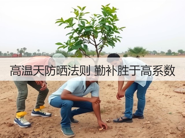 高温天防晒法则 勤补胜于高系数(图1)