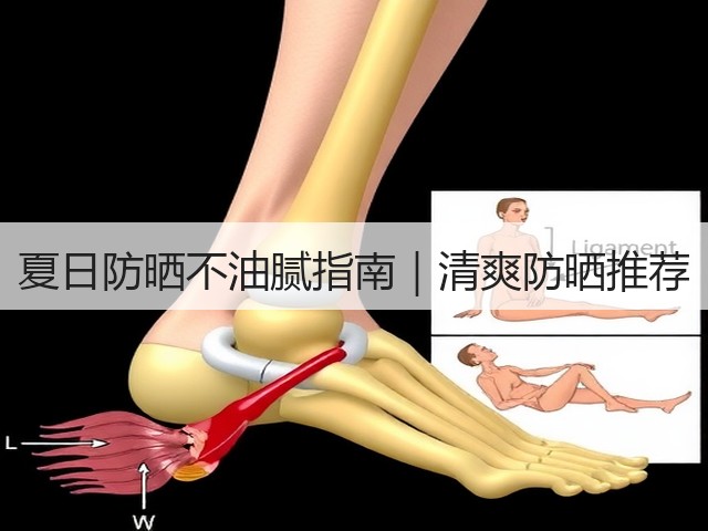 夏日防晒不油腻指南|清爽防晒推荐(图2) 夏日防晒不油腻指南|清爽防晒推荐(图2)