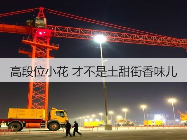 高段位小花 才不是土甜街香味儿(图3) 高段位小花 才不是土甜街香味儿(图3)