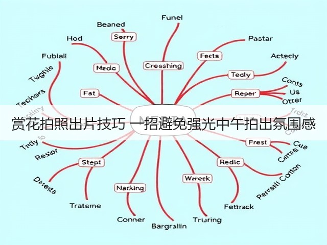 赏花拍照出片技巧 一招避免强光中午拍出氛围感(图2) 赏花拍照出片技巧 一招避免强光中午拍出氛围感(图2)