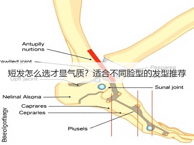短发怎么选才显气质？适合不同脸型的发型推荐(图2)