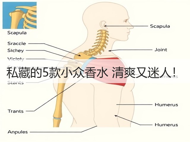 私藏的5款小众香水 清爽又迷人!(图2) 私藏的5款小众香水 清爽又迷人!(图2)