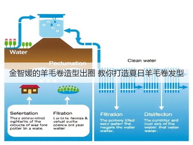 金智媛的羊毛卷造型出圈 教你打造夏日羊毛卷发型(图2) 金智媛的羊毛卷造型出圈 教你打造夏日羊毛卷发型(图2)
