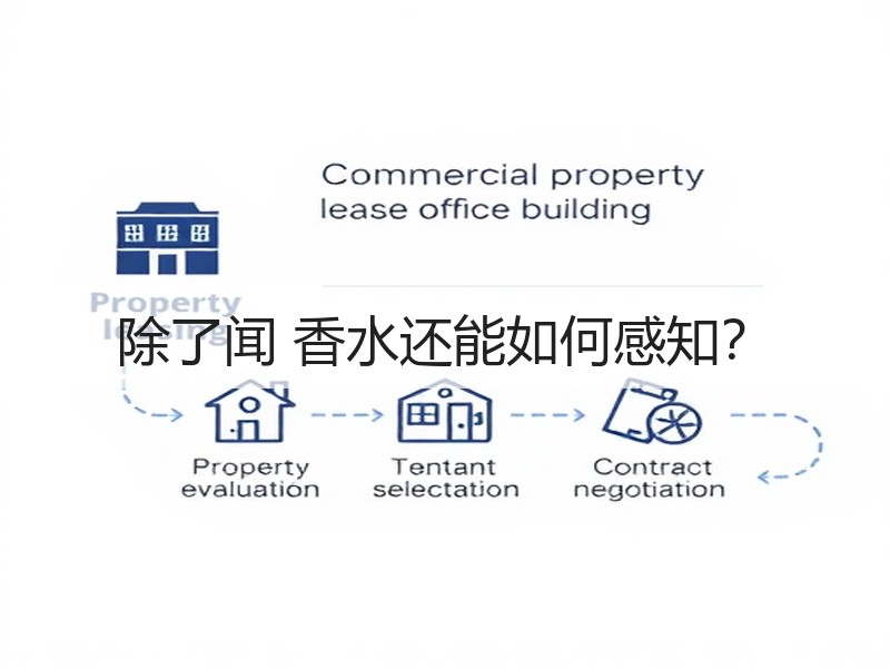 除了闻 香水还能如何感知？