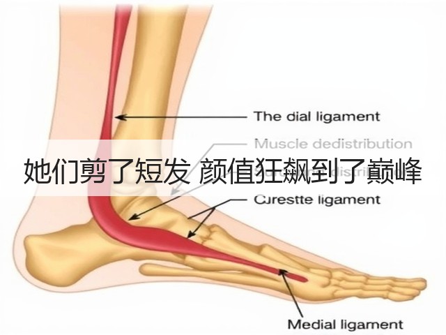 她们剪了短发 颜值狂飙到了巅峰(图3) 她们剪了短发 颜值狂飙到了巅峰(图3)