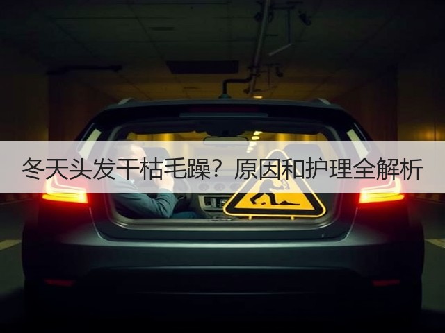 冬天头发干枯毛躁?原因和护理全解析(图2) 冬天头发干枯毛躁?原因和护理全解析(图2)