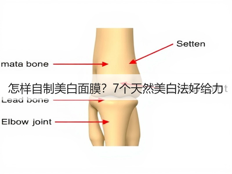 怎样自制美白面膜？7个天然美白法好给力