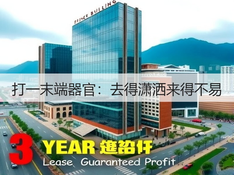 打一末端器官：去得潇洒来得不易