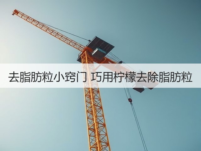 去脂肪粒小窍门 巧用柠檬去除脂肪粒(图3) 去脂肪粒小窍门 巧用柠檬去除脂肪粒(图3)