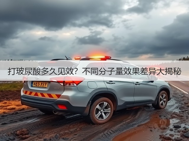 打玻尿酸多久见效？不同分子量效果差异大揭秘(图2)
