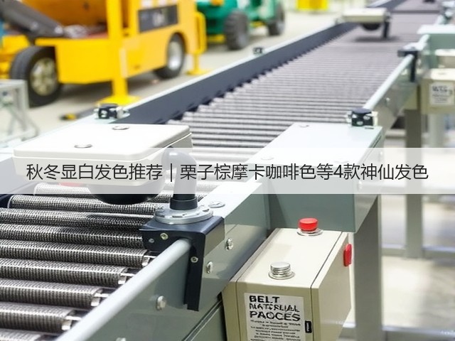 秋冬显白发色推荐|栗子棕摩卡咖啡色等4款神仙发色(图3) 秋冬显白发色推荐|栗子棕摩卡咖啡色等4款神仙发色(图3)