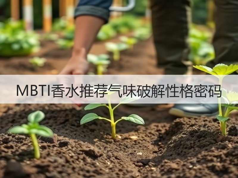 MBTI香水推荐气味破解性格密码