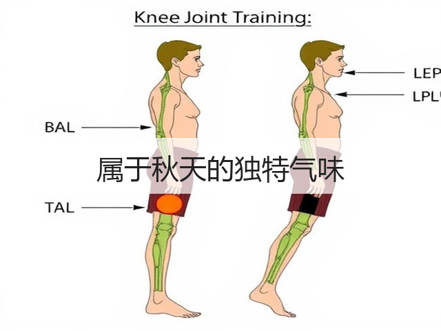 属于秋天的独特气味(图3) 属于秋天的独特气味(图3)