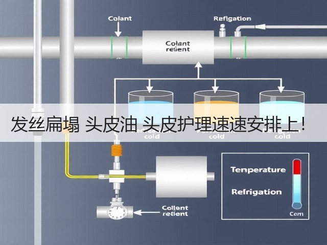 发丝扁塌 头皮油 头皮护理速速安排上!(图3) 发丝扁塌 头皮油 头皮护理速速安排上!(图3)