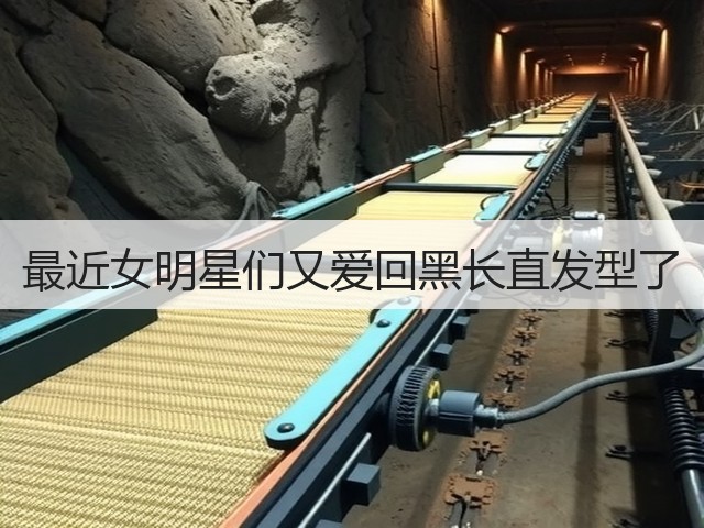 最近女明星们又爱回黑长直发型了(图2) 最近女明星们又爱回黑长直发型了(图2)