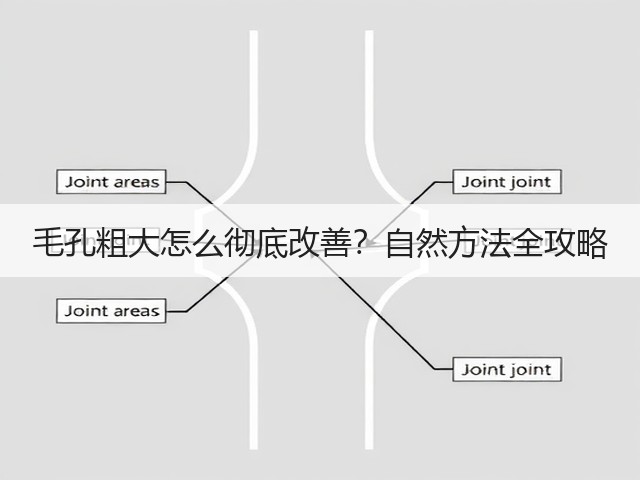 毛孔粗大怎么彻底改善?自然方法全攻略(图3) 毛孔粗大怎么彻底改善?自然方法全攻略(图3)