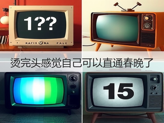 烫完头感觉自己可以直通春晚了(图2)