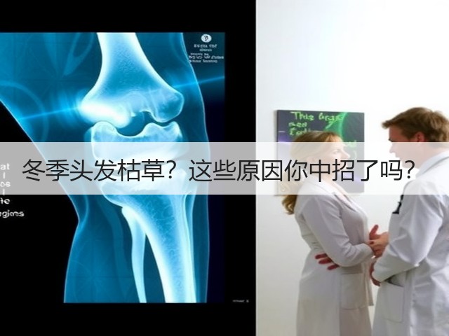 冬季头发枯草?这些原因你中招了吗?(图1) 冬季头发枯草?这些原因你中招了吗?(图1)