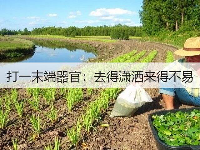 打一末端器官：去得潇洒来得不易(图2)