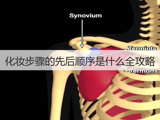 化妆步骤的先后顺序是什么全攻略(图1)